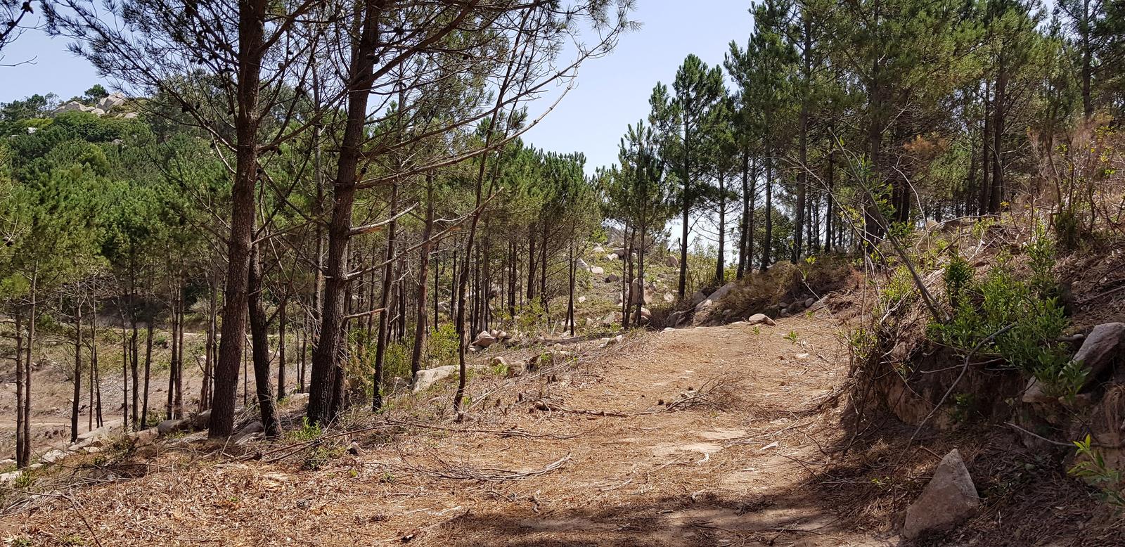 Pedra Amarela Viewpoint